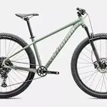 Specialized 2026 ROCKHOPPER COMP 29" GLOSS PISTACHIO/WHITE MOUNTAIN XL