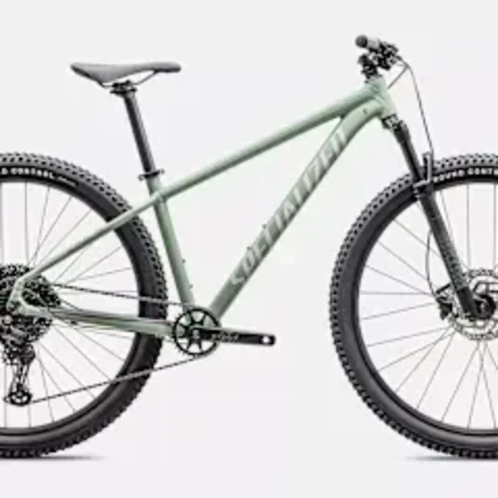 Specialized 2026 ROCKHOPPER COMP 29" GLOSS PISTACHIO/WHITE MOUNTAIN XL