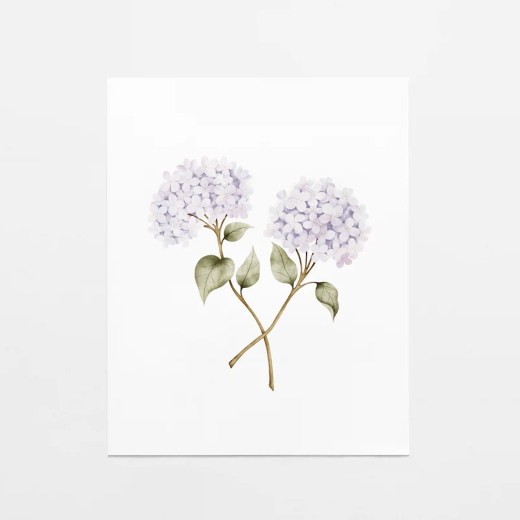 Marie-Lise.co Affiche - Hydrangea 8x10 po