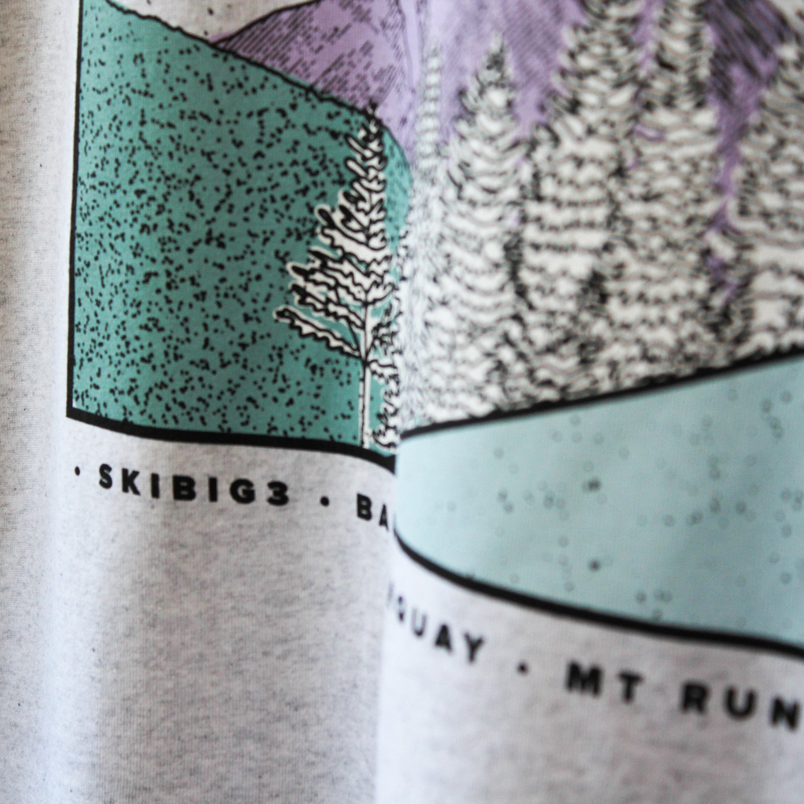 SkiBig3 SkiBig3 Mt. Norquay T-Shirt