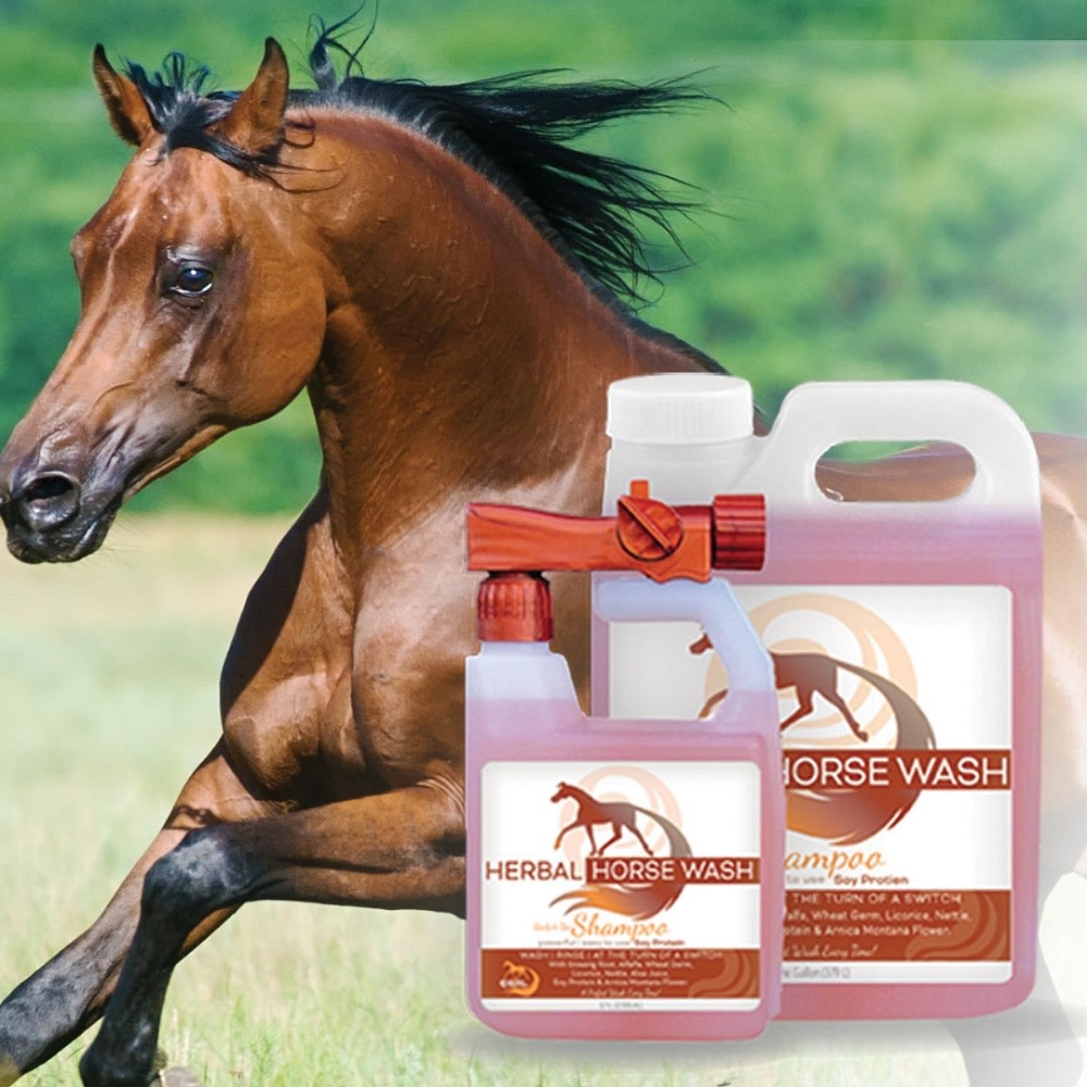 Horse Grooming Solutions Horse Grooming Solutions Herbal Horse Wash Rtu