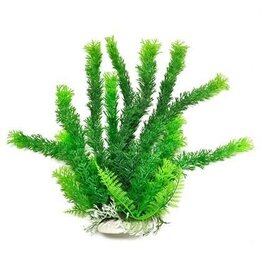 Aquatop Aquatop Cabomba Like Aquarium Plant