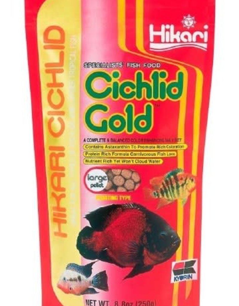 Hikari Hikari Cichlid Gold Floating Fish Food Noah's Ark