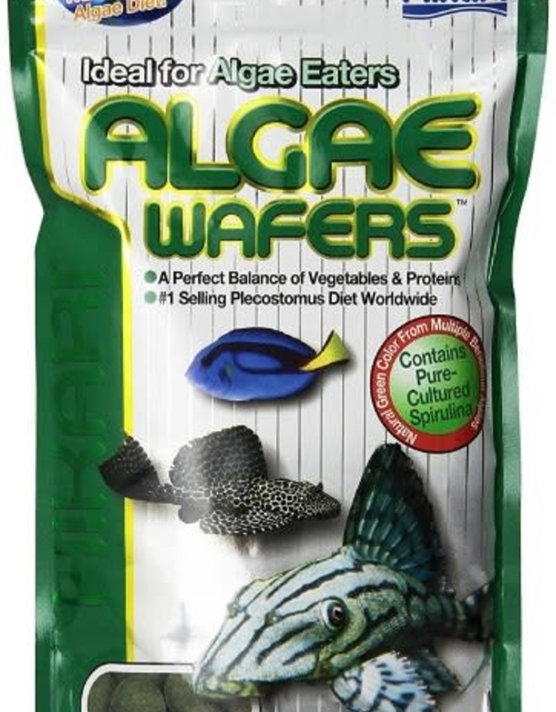 Hikari Hikari Algae Wafers Noah's Ark