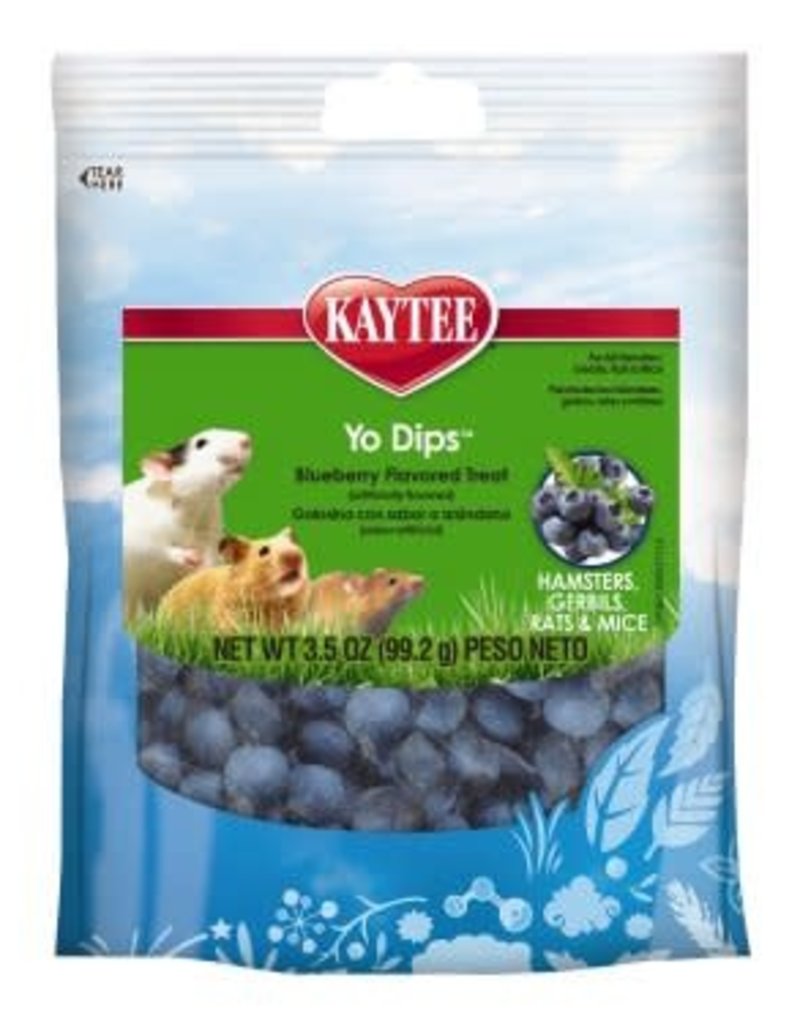 Kaytee Kaytee Fiesta Yogurt Dripped Treats Blueberry 3.5 oz