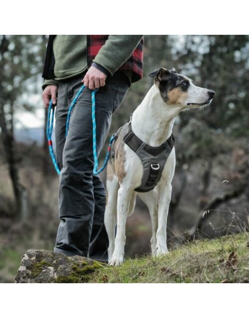 Kurgo Kurgo Journey Air Dog Harness Black with Grey Medium Noah's Ark