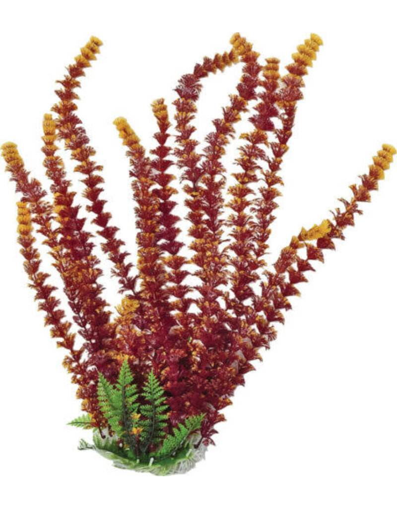 Aquatop Aquatop Cabomba Like Aquarium Plant