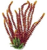 Aquatop Aquatop Cabomba Like Aquarium Plant