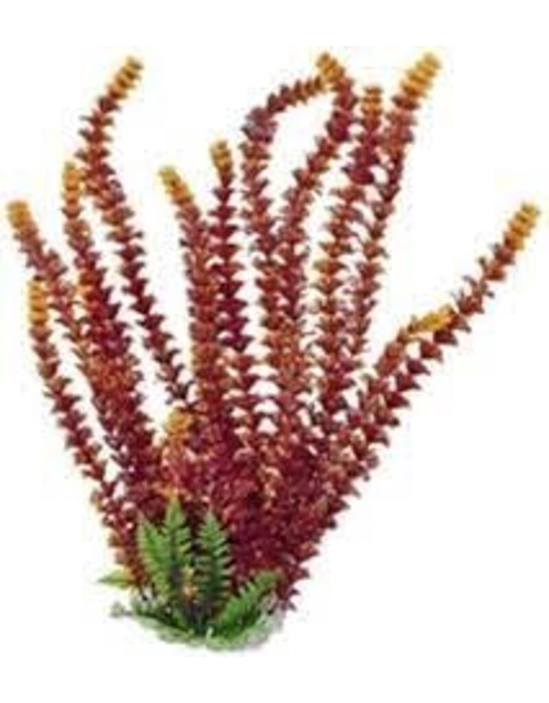 Aquatop Aquatop Cabomba Like Aquarium Plant