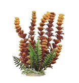 Aquatop Aquatop Cabomba Like Aquarium Plant