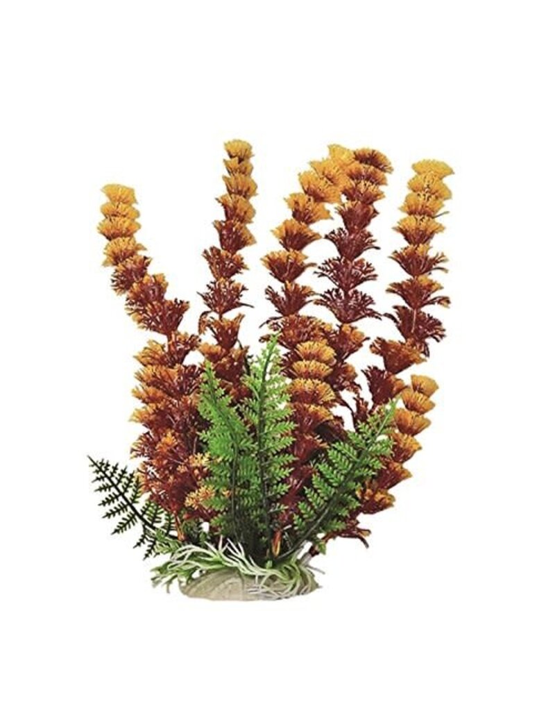 Aquatop Aquatop Cabomba Like Aquarium Plant