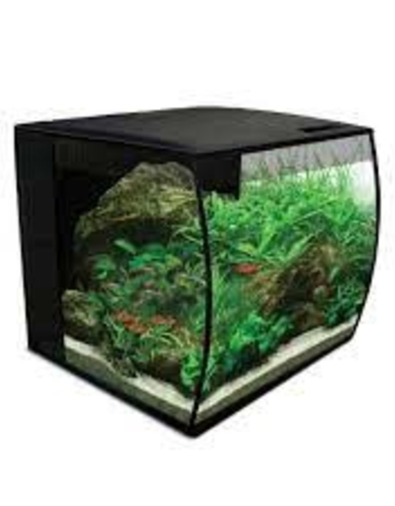 Fluval Fluval Flex 9 Gallon Tank Kit Noah's Ark