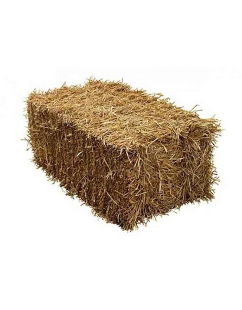 Noah's Ark Feed & Supply Straw Square Bale Large