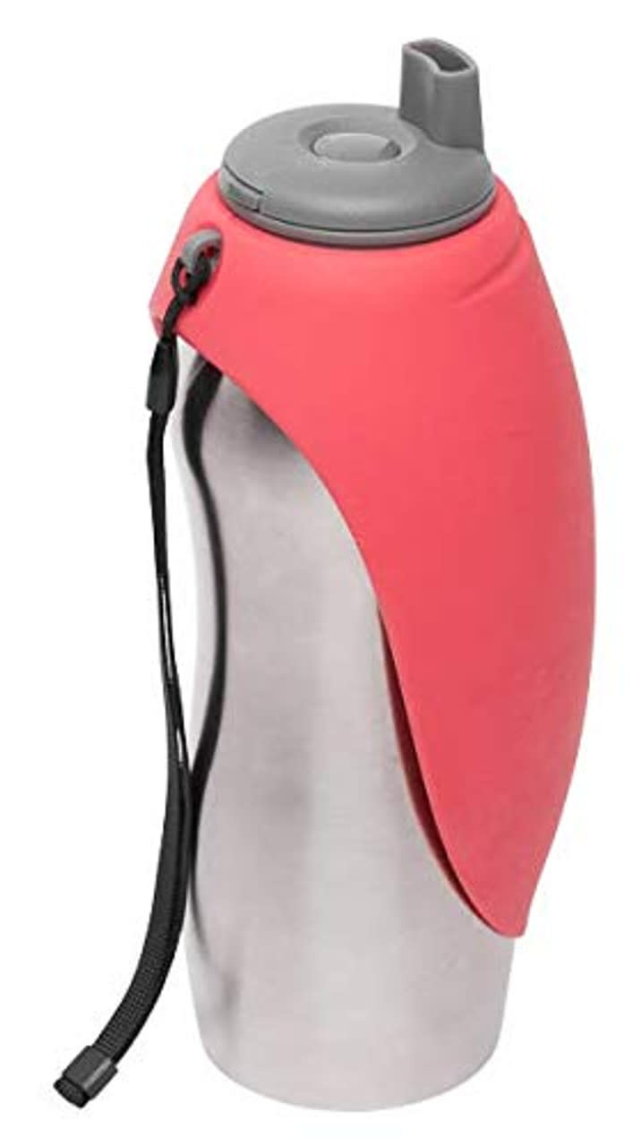 Messy Mutts Travel Water Bottle Noah's Ark