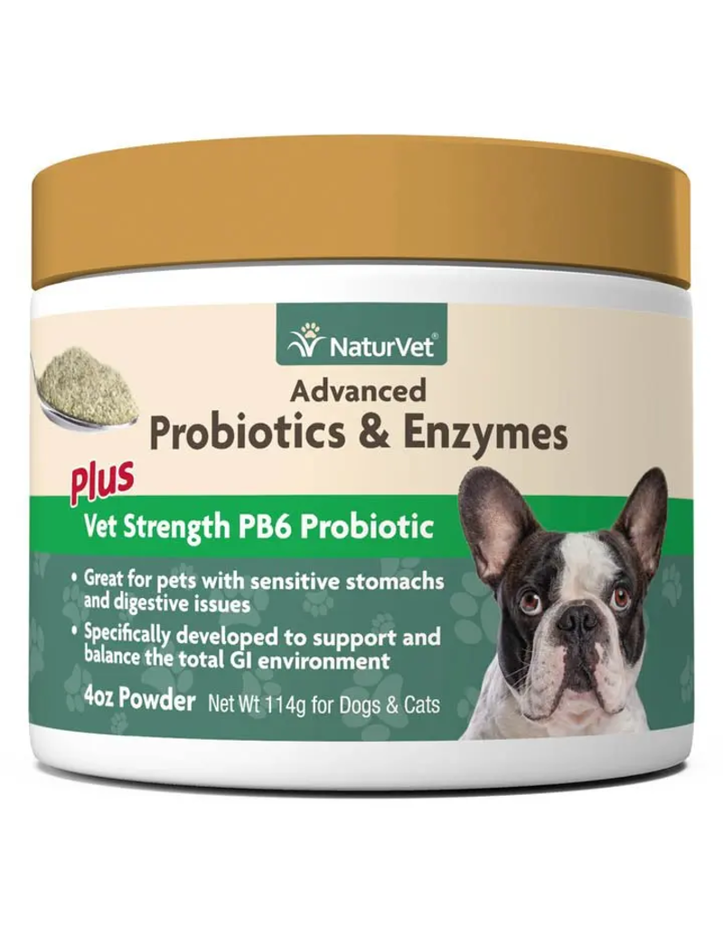 NaturVet NaturVet  Advanced  Probiotics & Enzymes Plus Vet  Strength Powder 4Oz