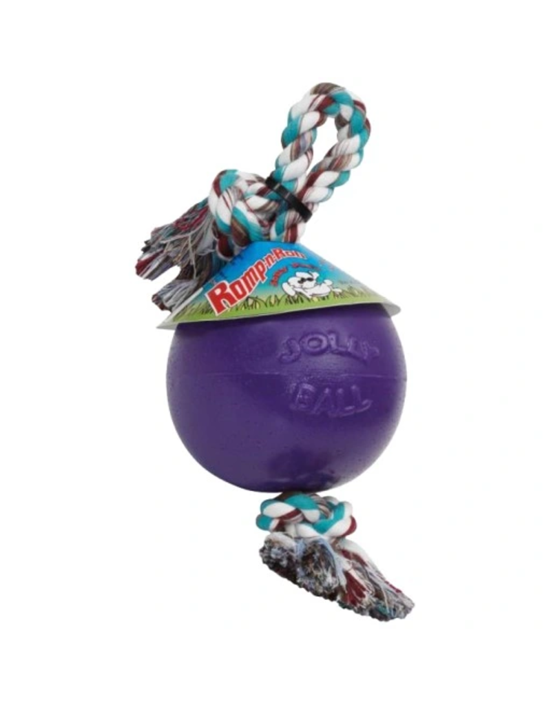 Jolly Pets Jolly Pets Romp N Roll Purple Ball