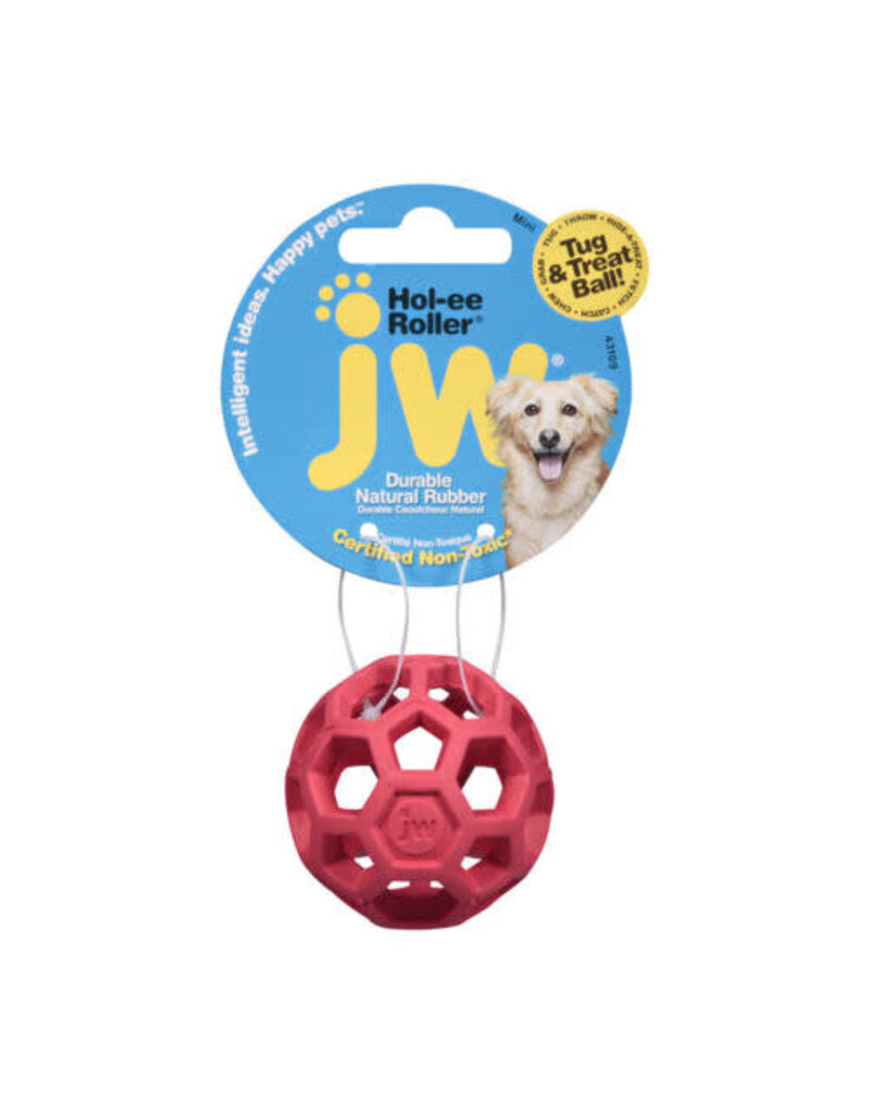 JW JW Pet Hol-Ee Roller Dog Toy