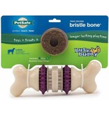 Petsafe Petsafe Busy Buddy Bristle Bone Dog Toy