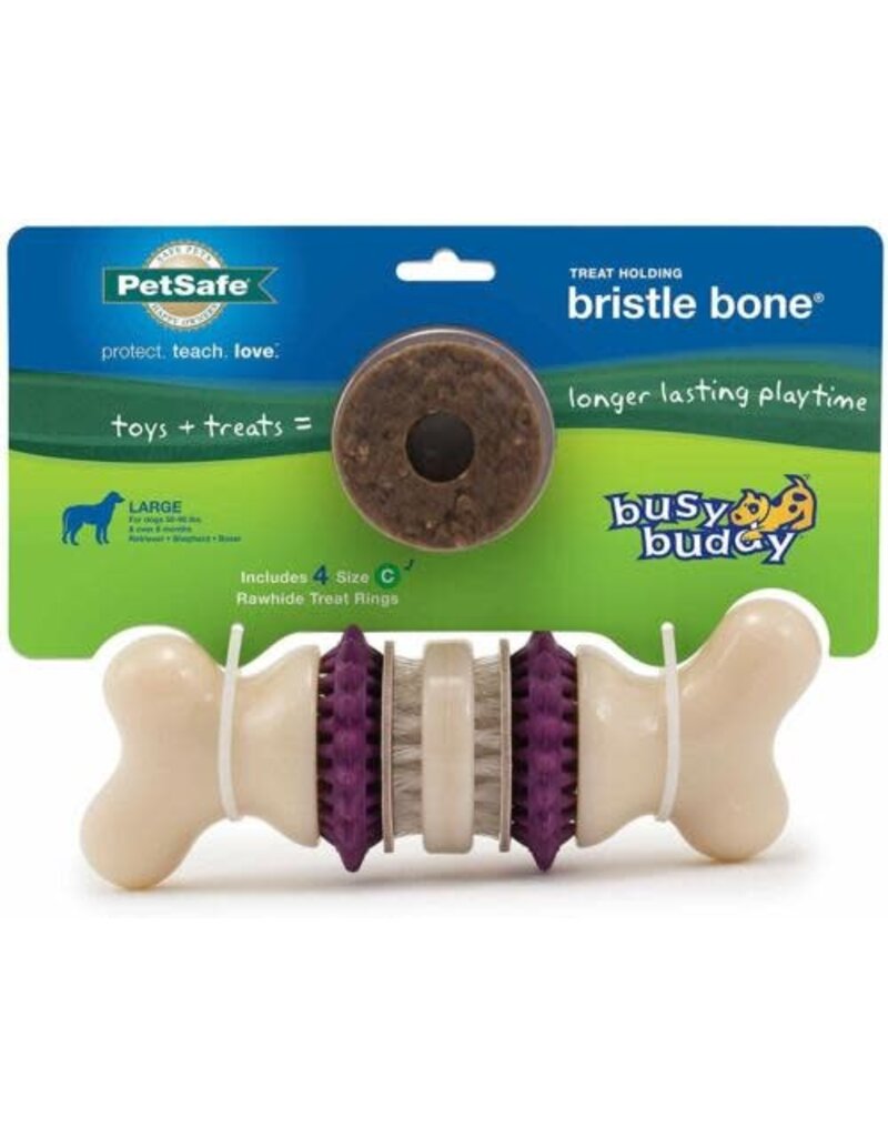 Petsafe Petsafe Busy Buddy Bristle Bone Dog Toy