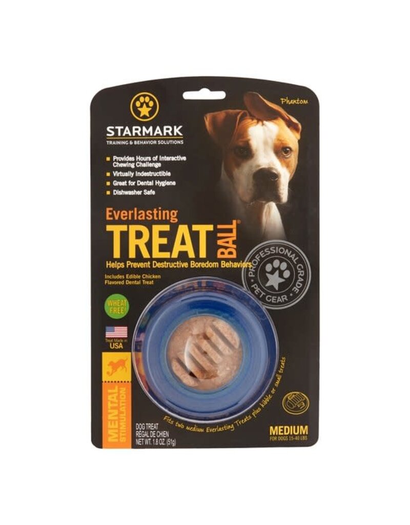 Starmark Starmark Everlasting Treat Ball Dog Toy