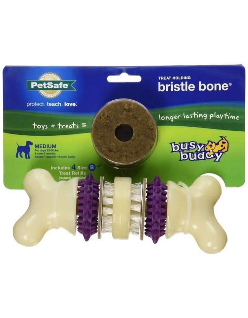 Petsafe Petsafe Busy Buddy Bristle Bone Dog Toy