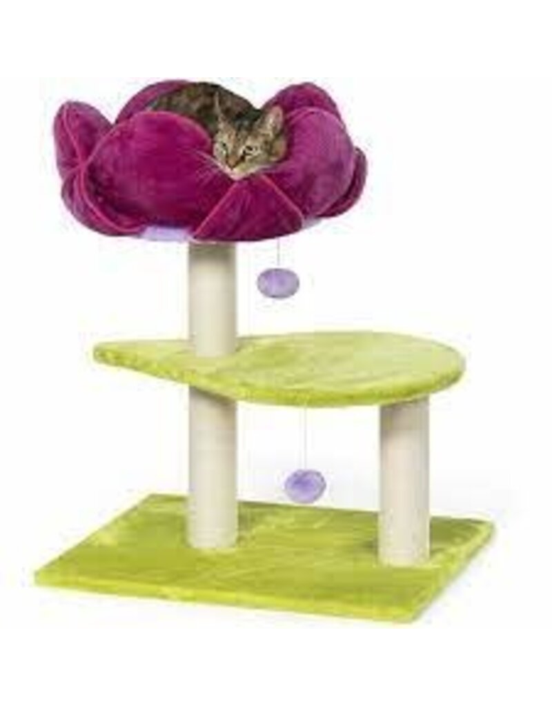 Prevue Pet Prevue Pet Flower Power Cat