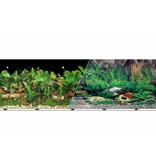 Blue Ribbon Pet Blue Ribbon 12" Tropical Freshwater Background Per Foot