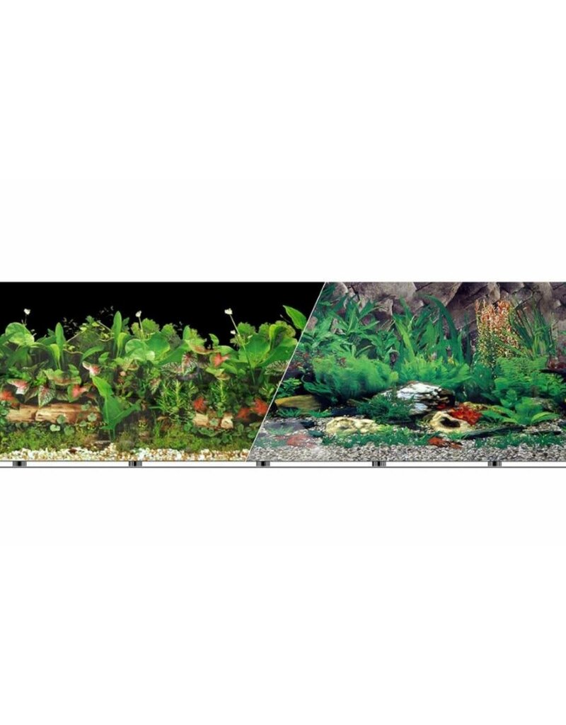 Blue Ribbon Pet Blue Ribbon 12" Tropical Freshwater Background