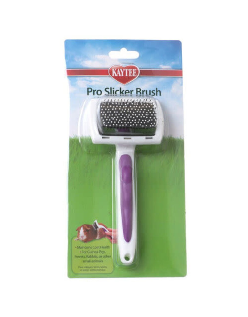 Kaytee Kaytee Pro-Slicker Brush