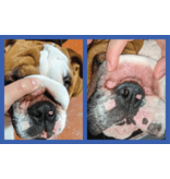 Squishface Squishface Wrinkle Stain Paste Dogs