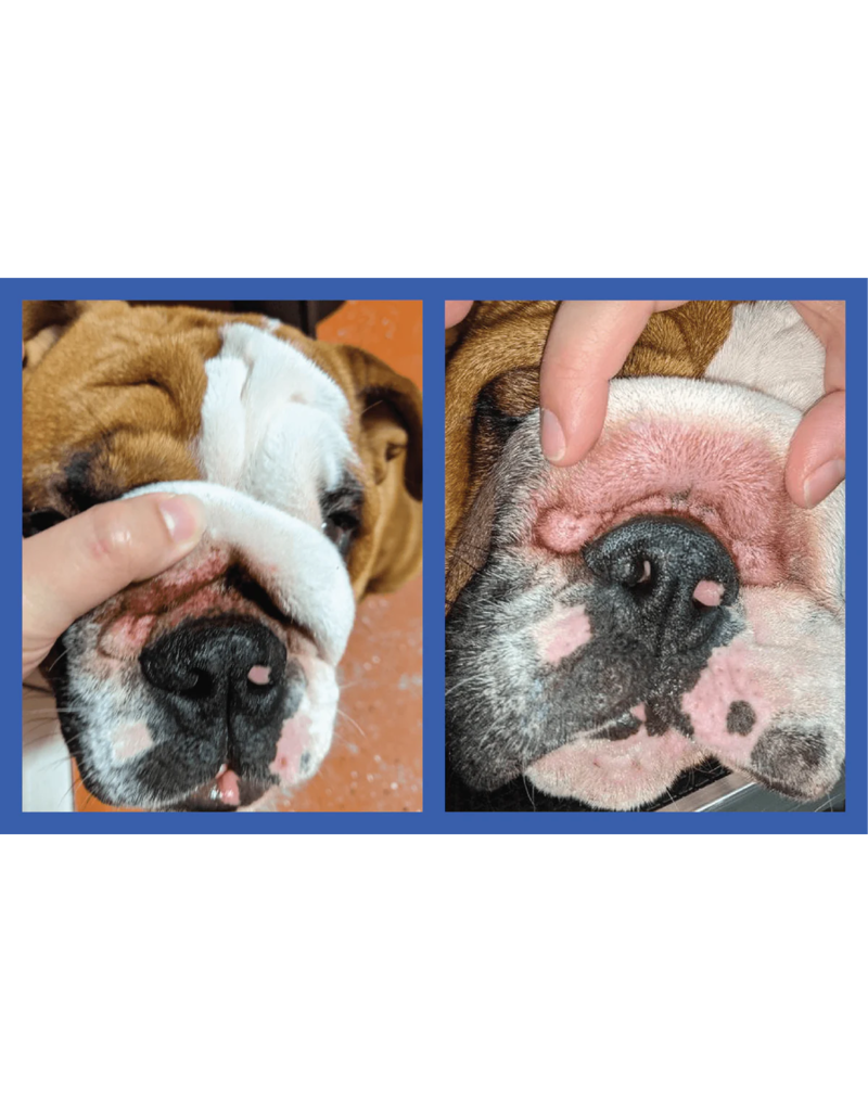 Squishface Squishface Wrinkle Stain Paste Dogs