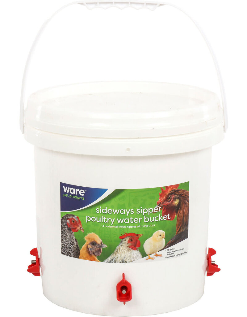 Ware Ware Water Bucket 2.5 Gal