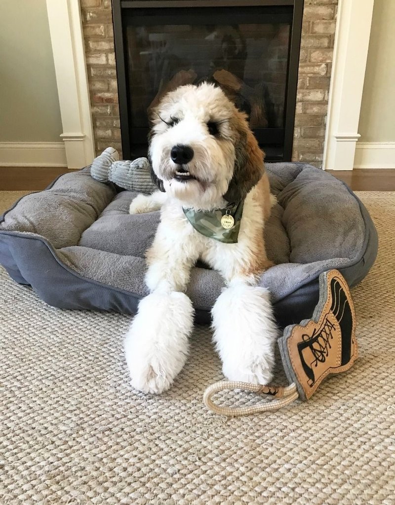 Tall Tails Bolster Beds Noah's Ark