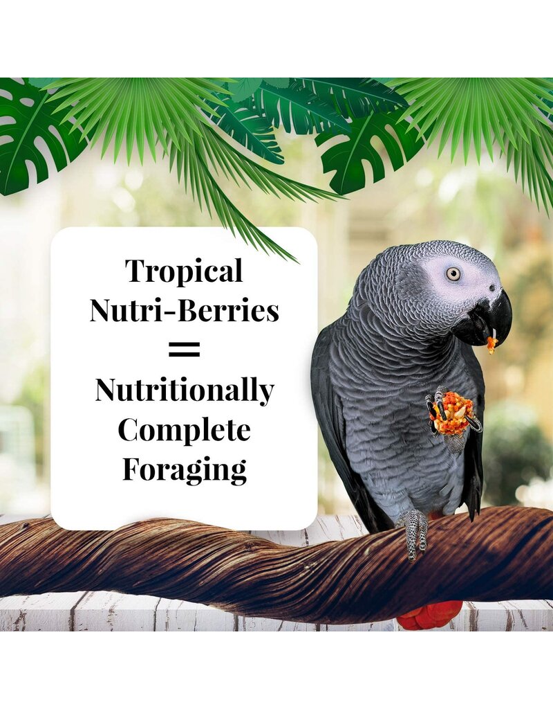 Lafeber Lafeber Company Tropical Fruit Nutri-Berries for Parrots 3 Lb