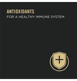 ProPlan Pro Plan Complete Essentials Turkey & Vegetable Entree in Gravy Cat Food 3 oz can