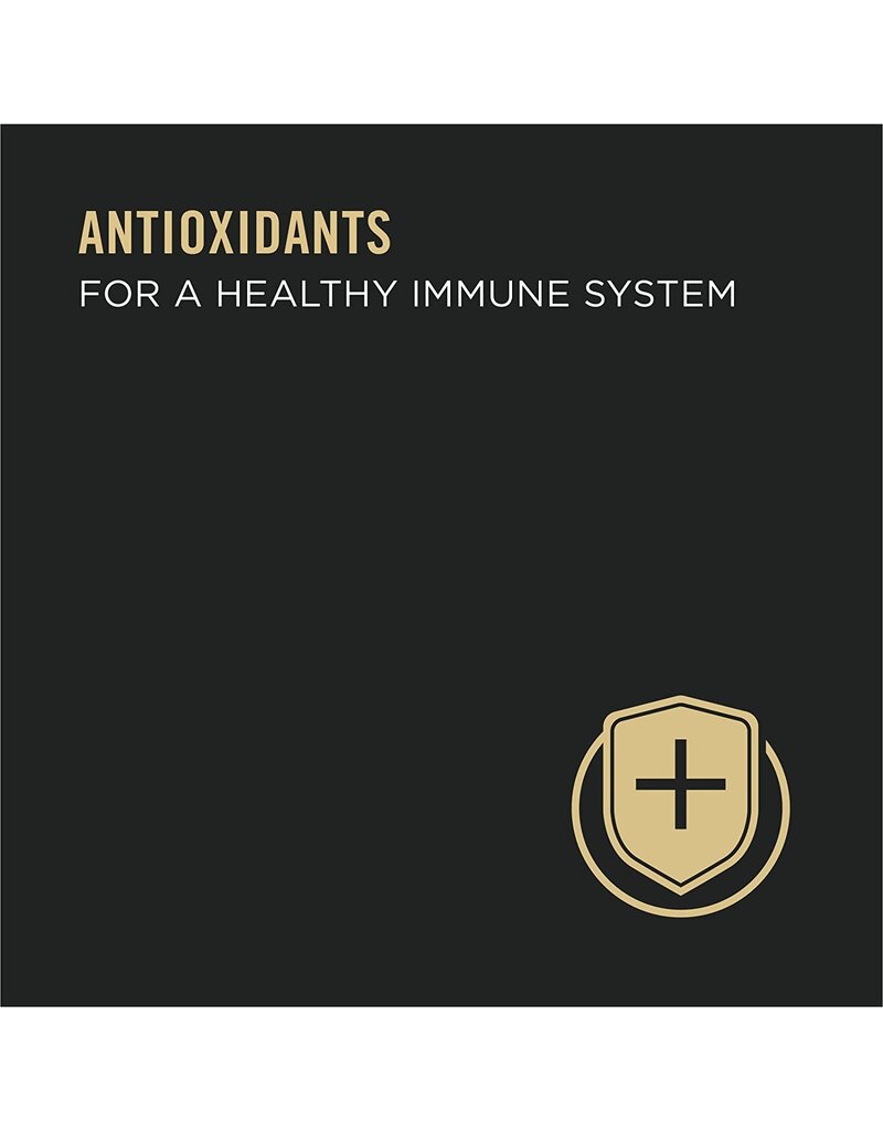 ProPlan Pro Plan Complete Essentials Turkey & Vegetable Entree in Gravy Cat Food 3 oz can