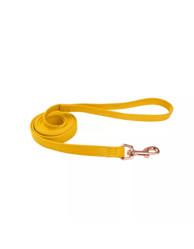 Coastal Pet Coastal Pet Accent Microfiber Dog Leash