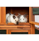 Prevue Pet Prevue Pet Rabbit Hut with Double Run