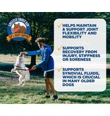 Grizzly Grizzly Joint Aid Liquid 16OZ