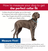 Coastal Pet Coastal Pet New Earth Soy Collar