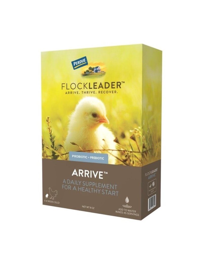 Pet Factory Perdue Flockleader Arrive Poultry Supplement