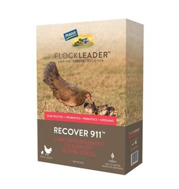 Presto Perdue Flockleader Recover 911 Poultry Supplement