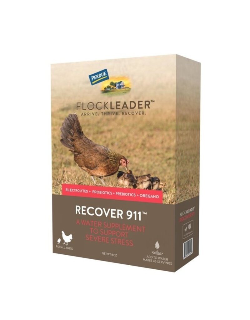 Presto Perdue Flockleader Recover 911 Poultry Supplement