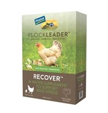 Pet Factory Perdue Flockleader Recover Poultry Supplement
