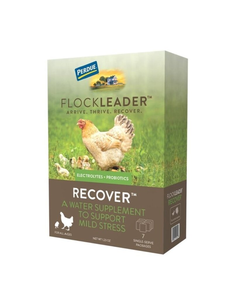 Pet Factory Perdue Flockleader Recover Poultry Supplement