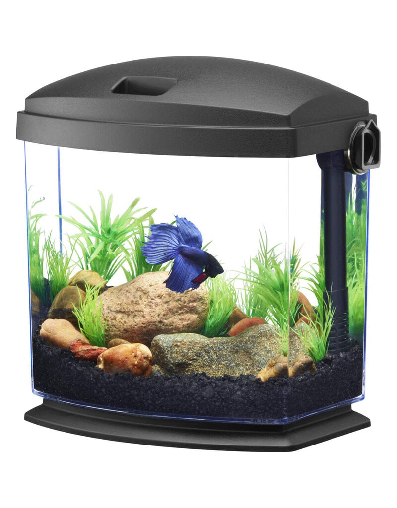 Aqueon Aqueon Betta Bow With Quickclean Technology, 1 Gallon Black