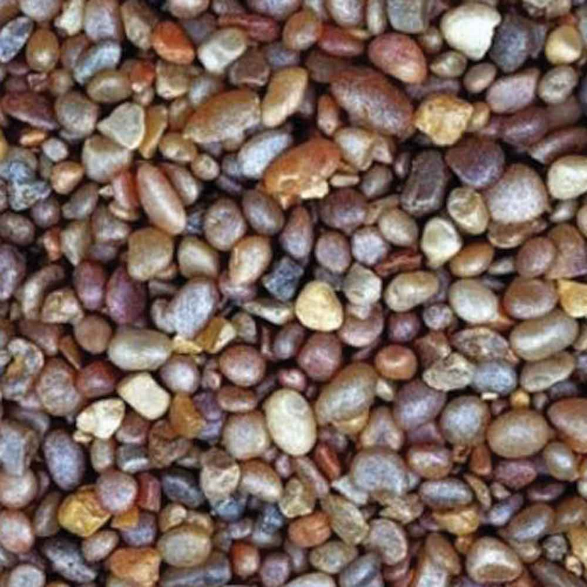 Estes Jumbo Gems Natural Aquarium Gravel 25 lb Noah's Ark