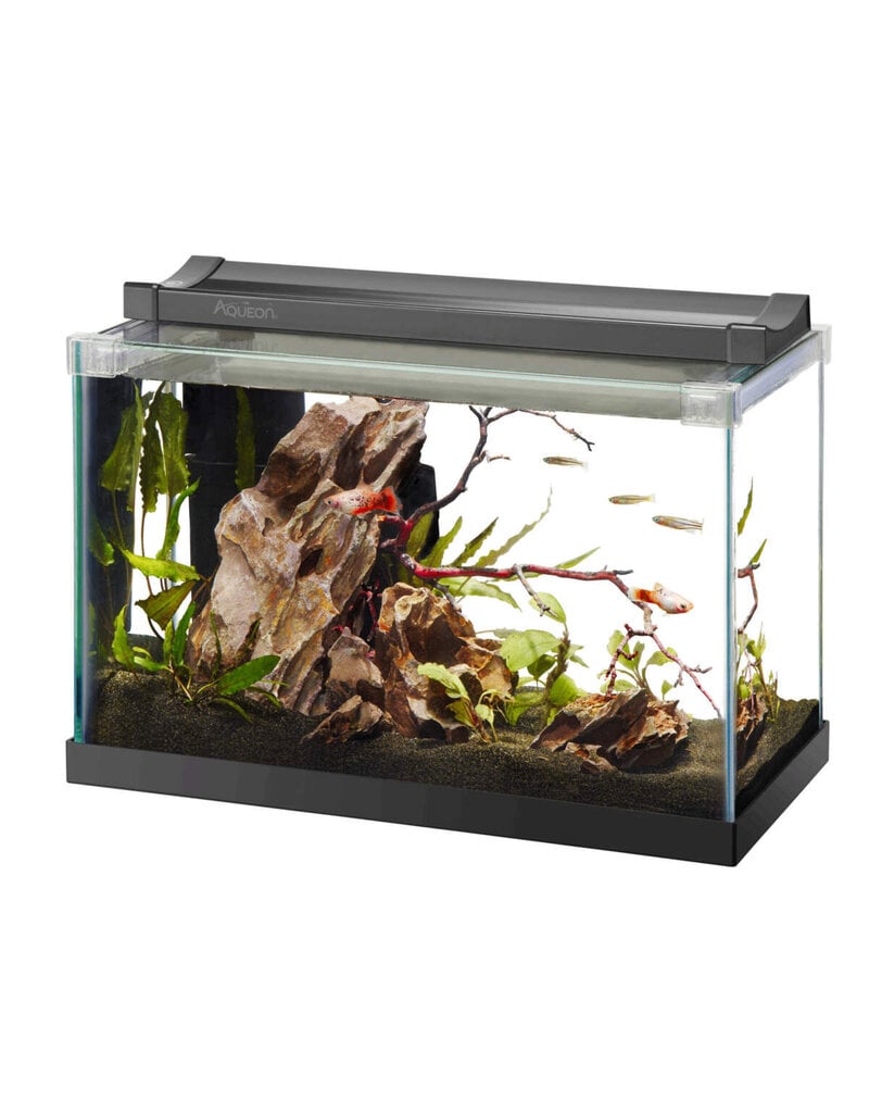 Aqueon Aqueon Rimless Aquarium