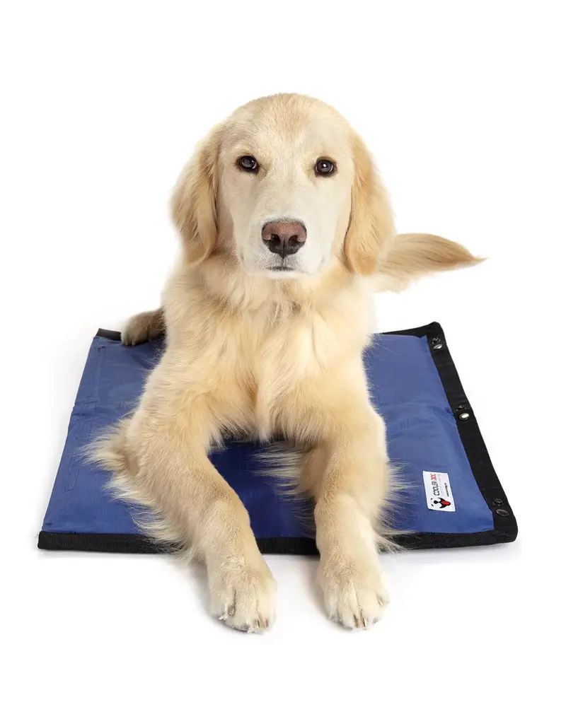 Cooler Dog Cooler Dog Hydro Cooling Mat