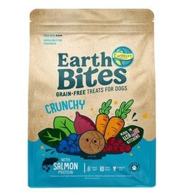 Earthborn Holistic Earthborn EarthBites Crunchy Grain Free Treats Salmon 10 Oz